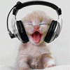 DJ Kitten 18154